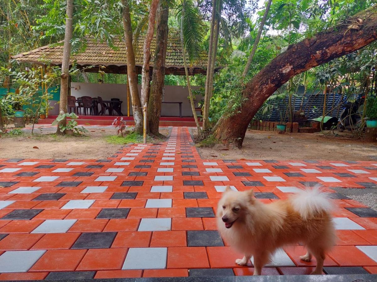 Marari Beach House Mararikulam Exterior photo